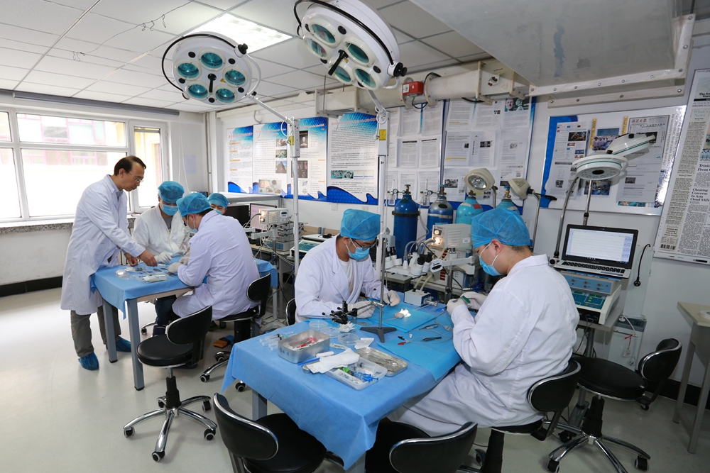 任晓平教授在指导学生们做实验