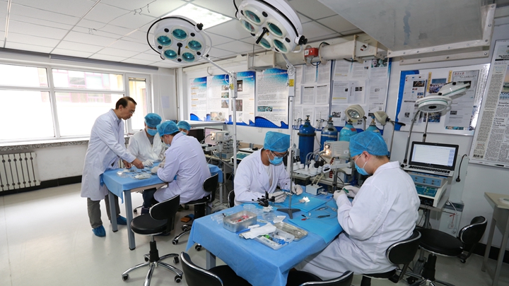 任晓平教授在指导学生们做实验