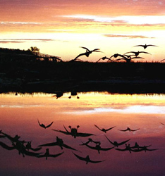 共守&ldquo;绿水青山&rdquo;