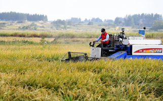 40年，小岗人的18个“第一次”