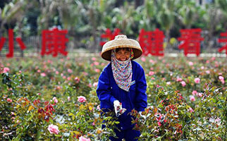 在伟大复兴新征程上扬帆远航——从海南建省办特区看中国改革开放40年