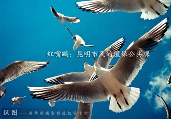 昆明市民的环保公共课