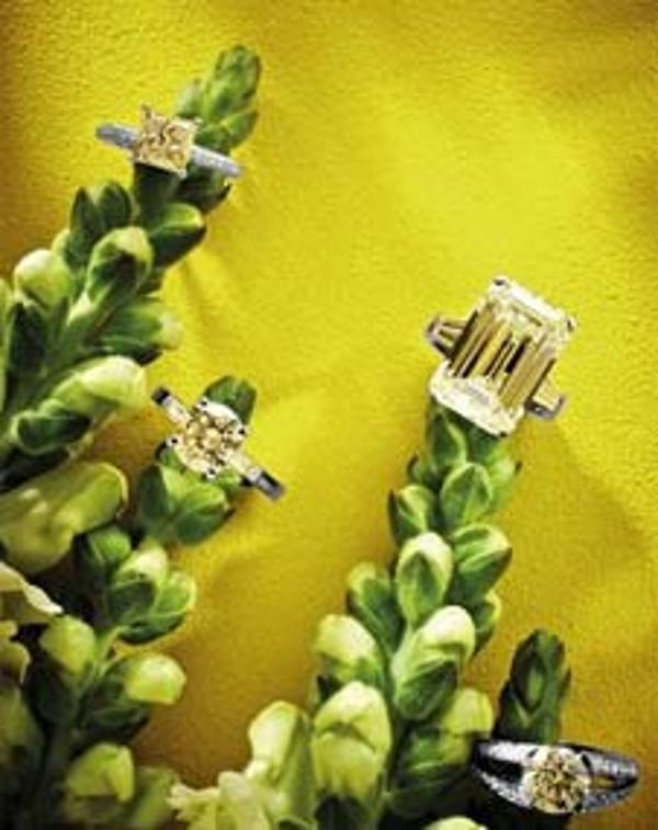 承载诺言：灿于枝头 美在指尖