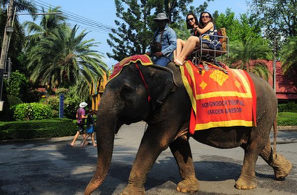 东方夏威夷 芭提雅