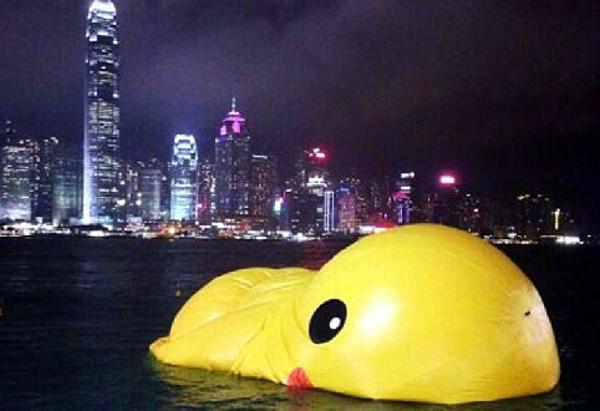 &ldquo;小黄鸭&rdquo;挂了 网友笑称&ldquo;禽流感太强大了&rdquo;