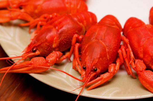 小龙虾是虫？专家详解关于小龙虾的五个传言