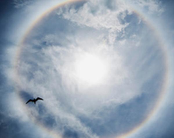 美新泽西州上空现&ldquo;幻日&rdquo; 奇观 如彩色圆盘悬空