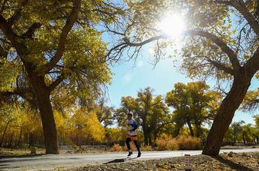 马拉松&mdash;&mdash;内蒙古额济纳穿越胡杨林国际马拉松赛开赛