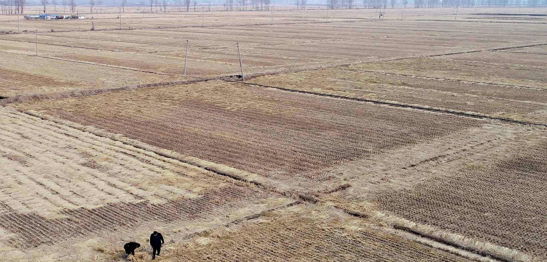 农业专家&ldquo;无接触&rdquo;服务农户 保障春耕备耕