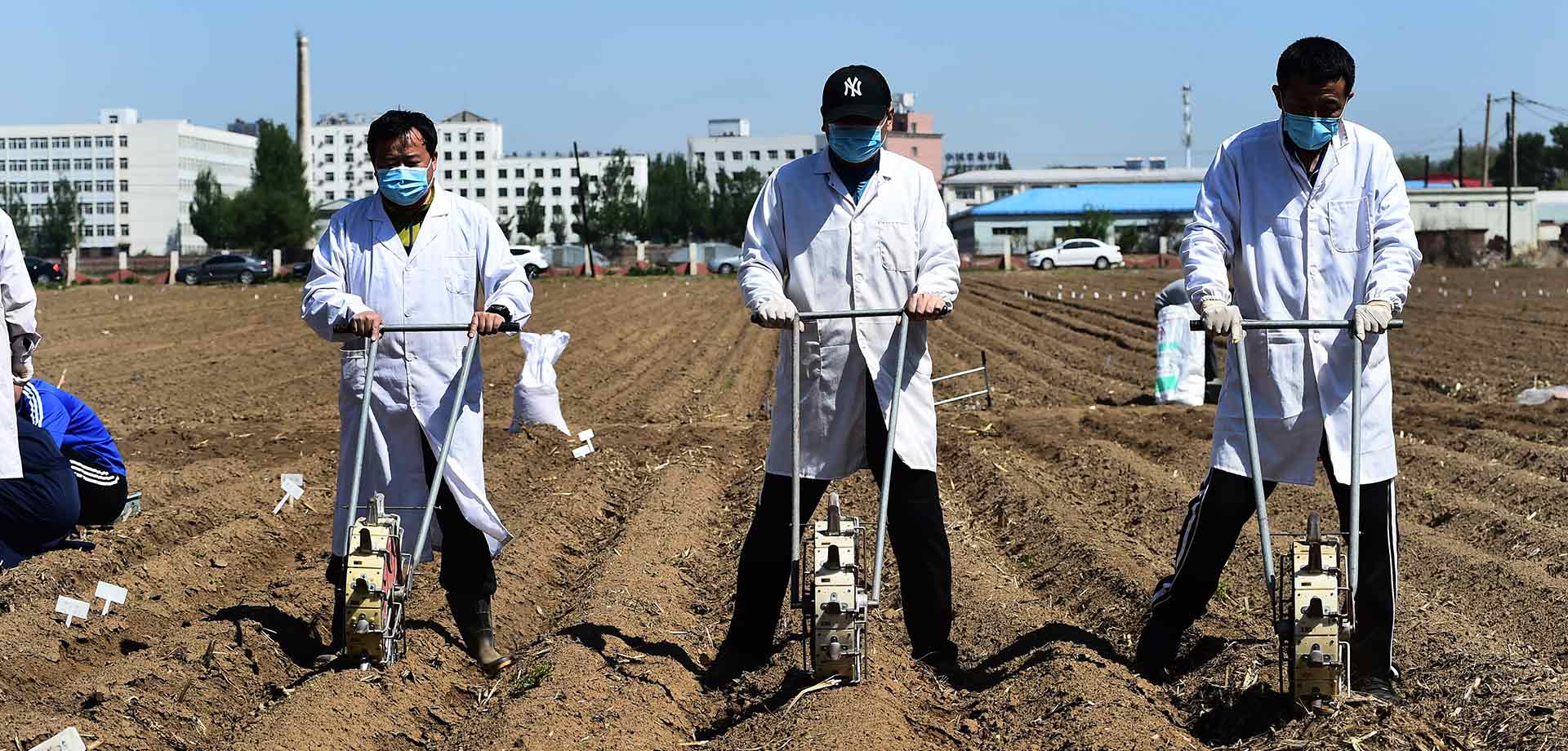 农大学生无法如期返校 教师田间耕种保教学
