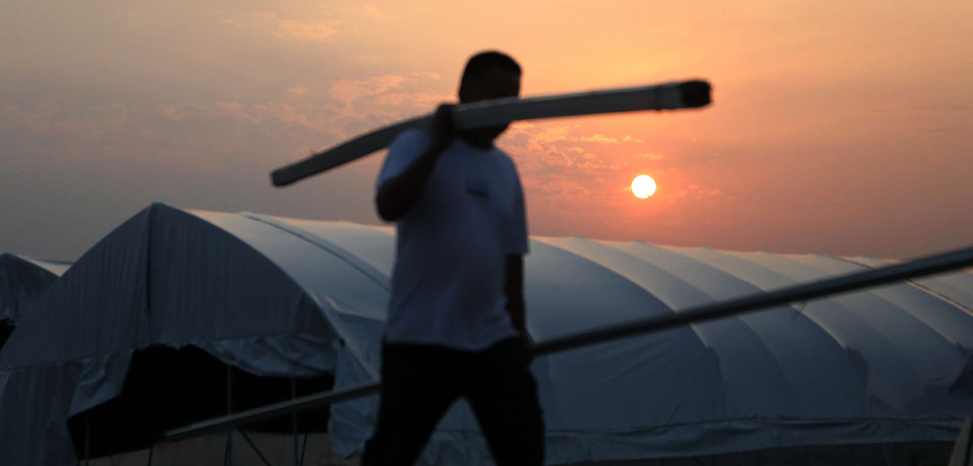 【显影中国】&ldquo;菇宝宝&rdquo;出山记