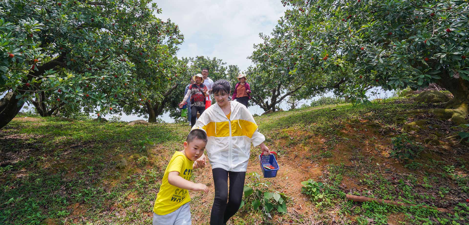 &ldquo;梅老板&rdquo;的&ldquo;生态经&rdquo; 牛羊和草木共生