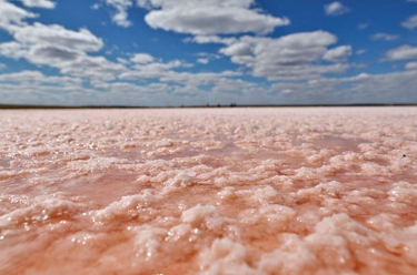 国际&middot;一周看天下