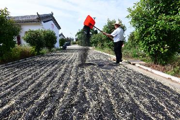 贫困户老杨的人生&ldquo;三级跳&rdquo;