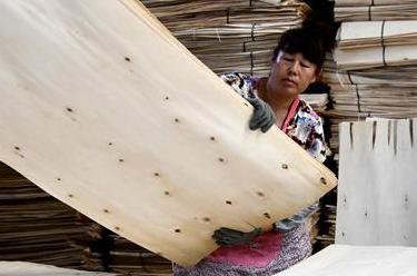 山东费县：木业产业助推乡村振兴