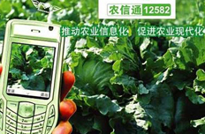 中国移动通信农村信息网在重庆正式开通