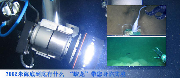 7062米海底到底有什么 “蛟龙”带您身临其境 组图