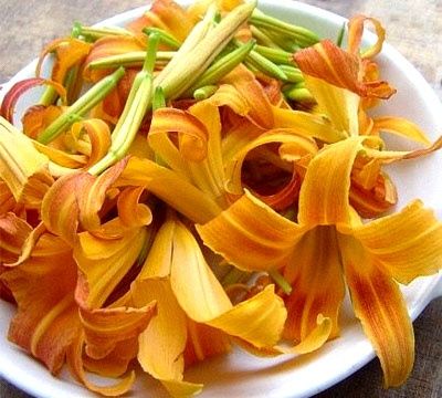 小心！七类蔬菜含天然毒素