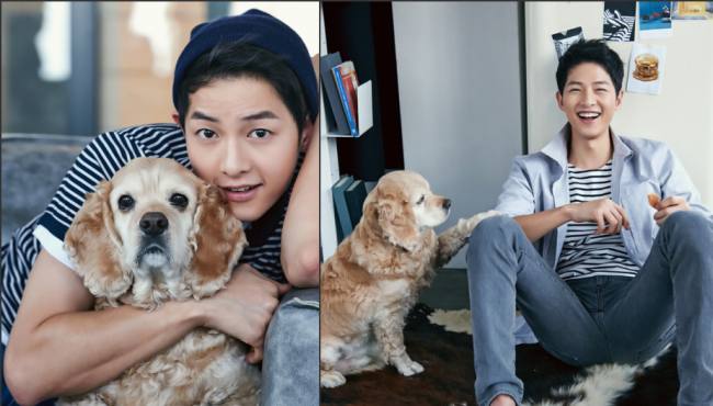 宋仲基最新写真 穿居家服抱狗显暖男气质