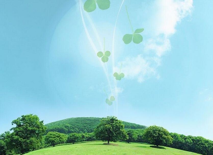 代表委员热议生态建设：合力打好环境治理攻坚战