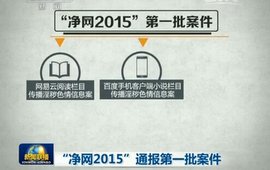 &ldquo;净网2015&rdquo;通报第一批案件