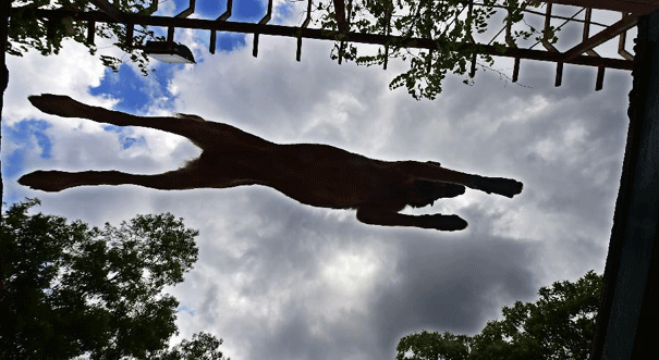 &ldquo;禁毒日&rdquo;里训练忙