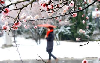 全國多地迎來降雪天氣