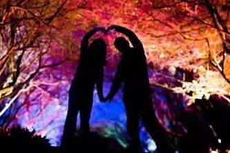 當愛情遇見古詩詞