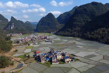 春耕時節田園美