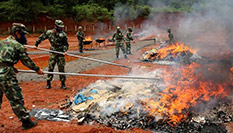 雲南德宏集中銷毀毒品5.6噸