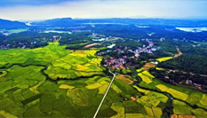 俯瞰江西鉛山秋後稻田：色彩斑斕美不勝收