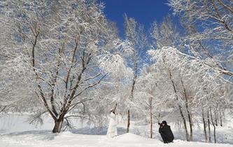 瀋陽雪後天晴景色美麗吸引民眾觀賞拍照