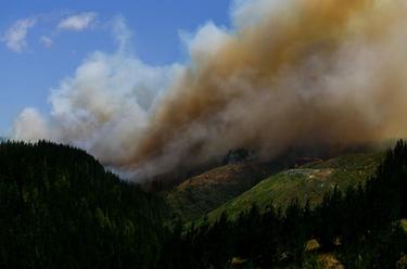 新西蘭北島突發森林大火