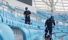 警犬爸爸和他的“汪星人”战队