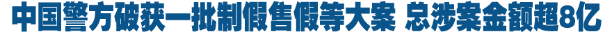 中国警方破获一批制假售假等大案 总涉案金额超8亿