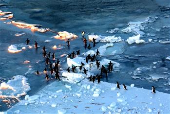 【“雪龙”探南极】美丽的普里兹湾