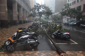 臺風&ldquo;天鴿&rdquo;來襲　澳門挂10號風球嚴陣以待