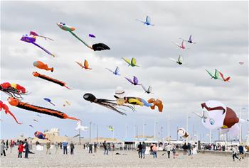 法国举行迪耶普风筝节