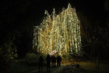 “柏林圣诞花园”灯光秀开幕