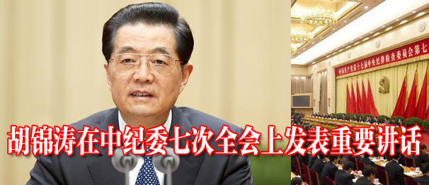 中纪委七次全会