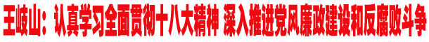 王岐山：认真学习全面贯彻十八大精神 深入推进党风廉政建设和反腐败斗争