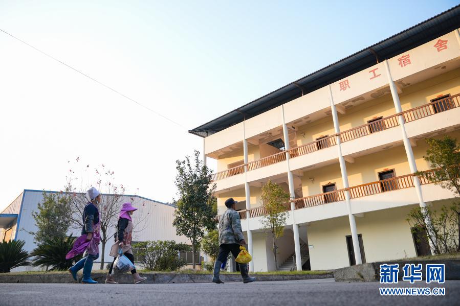 山间“聚宝盆”变身就业“稳定器”