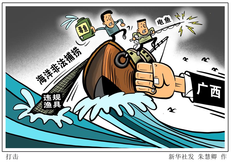 （图表&middot;漫画）［法治］打击