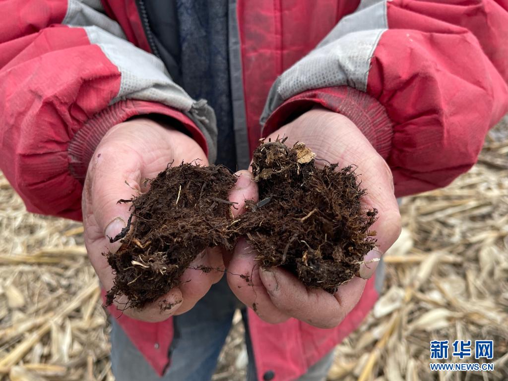 这帮黑心贼对黑土地下黑手了!--黑龙江五常