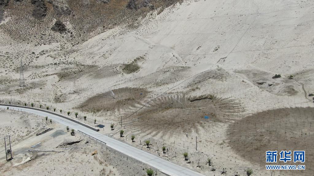 西藏“母亲河”沿岸造起“绿色长廊