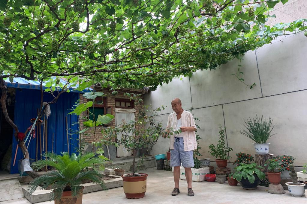 百余奖牌挂满墙,这个古村落有啥不一样?