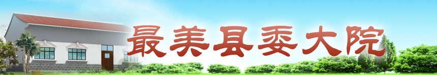 最美县委大院banner
