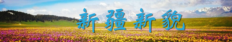 新疆新貌banner