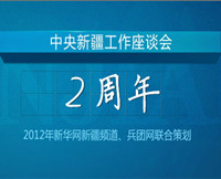中央新疆工作座谈会2周年