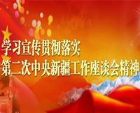 第二次中央新疆工作座谈会